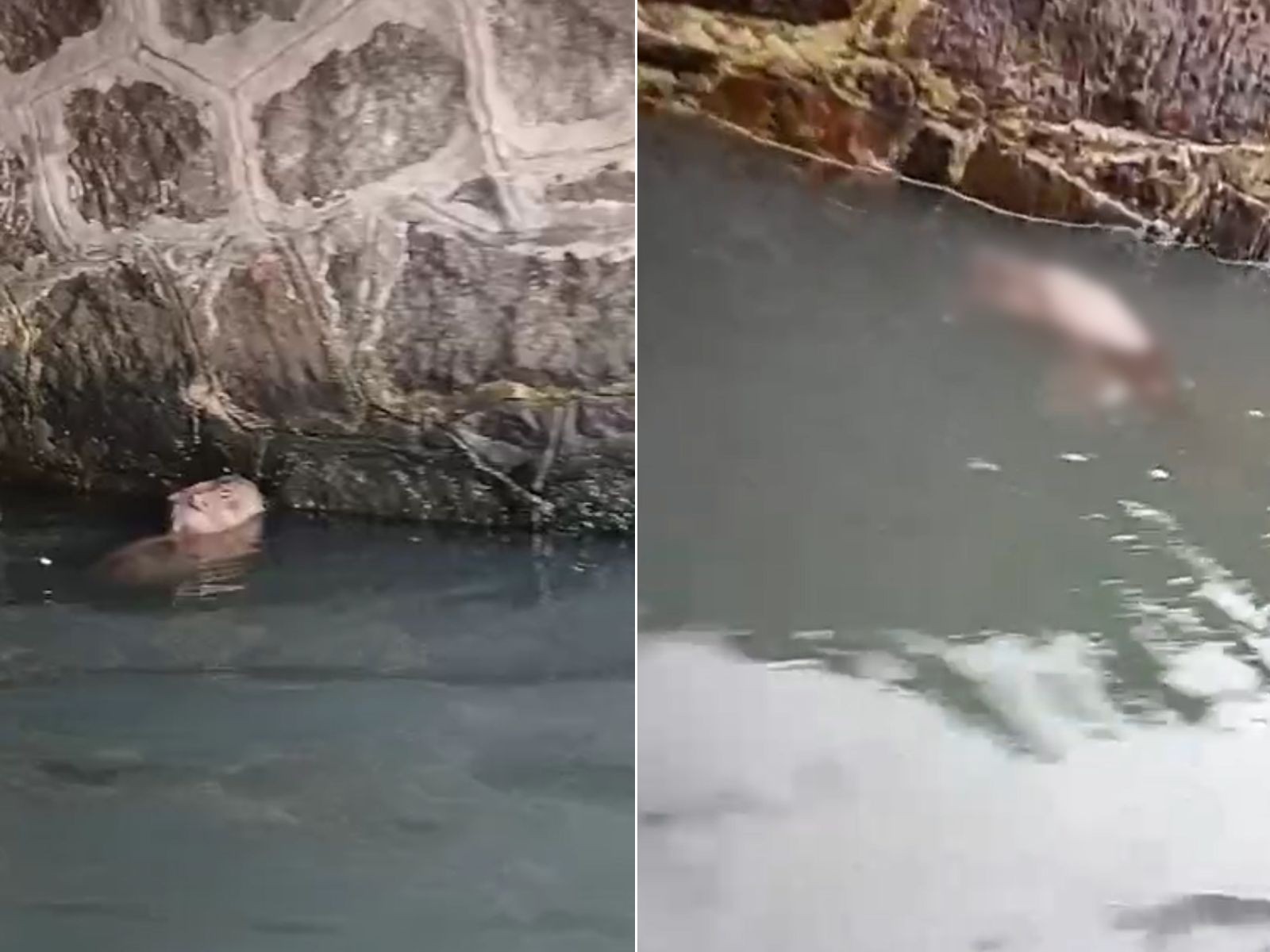 foto Not&iacute;cia São Sebastião