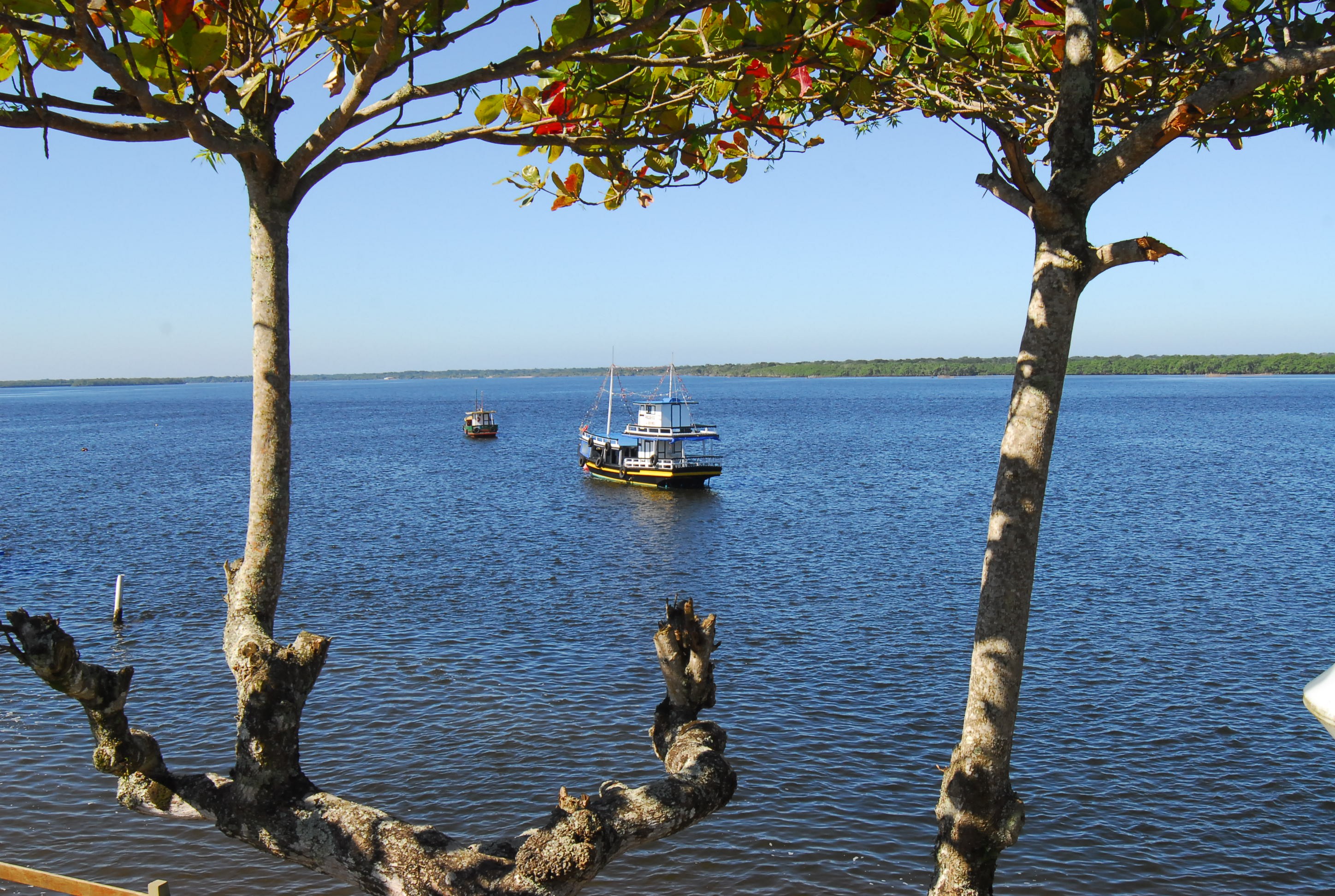 foto Not&iacute;cia São Sebastião